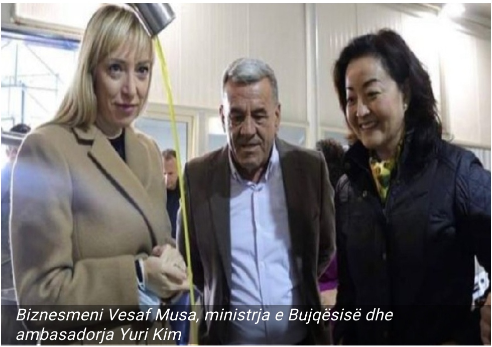 Eja, do bëjmë qejf’/ Lihet në burg biznesmeni që ngacmoi seksualisht të miturën në Fier! Foto në rrjete sociale me Ramën, ministrat dhe Yuri Kim