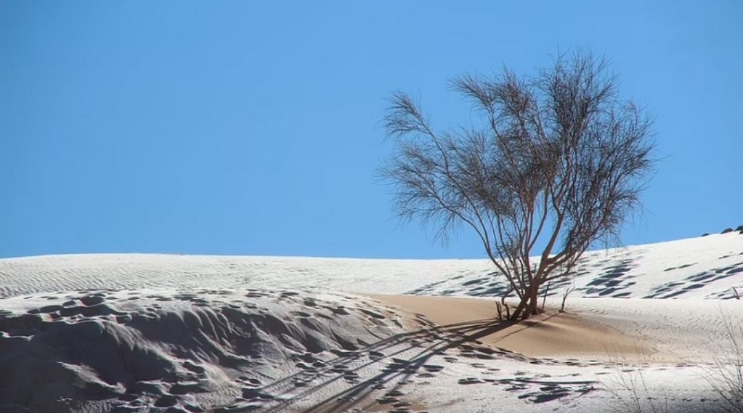 Fenomeni i rrallë! Shkretëtira e Saharasë mbulohet nga dëbora (Fotot)