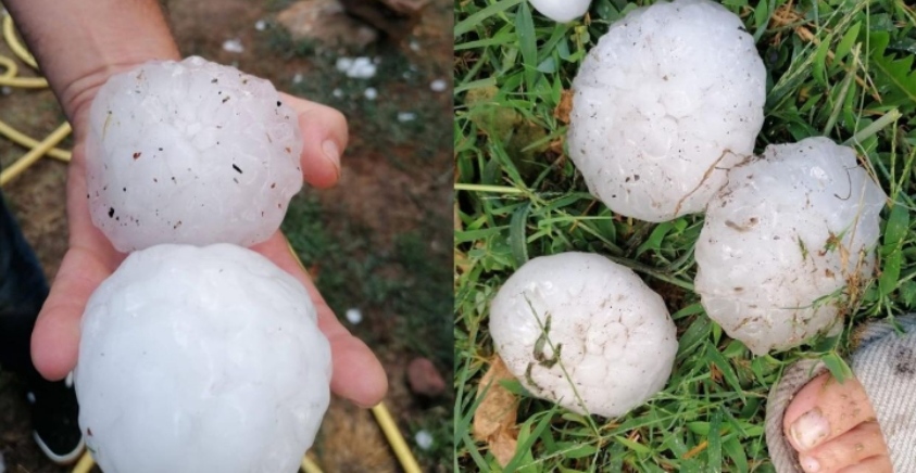 Breshëri sa një kokërr ‘portokalli’ vret vajzën 1 vjeçare, marrin dëmtime të rënda 50 të tjerë