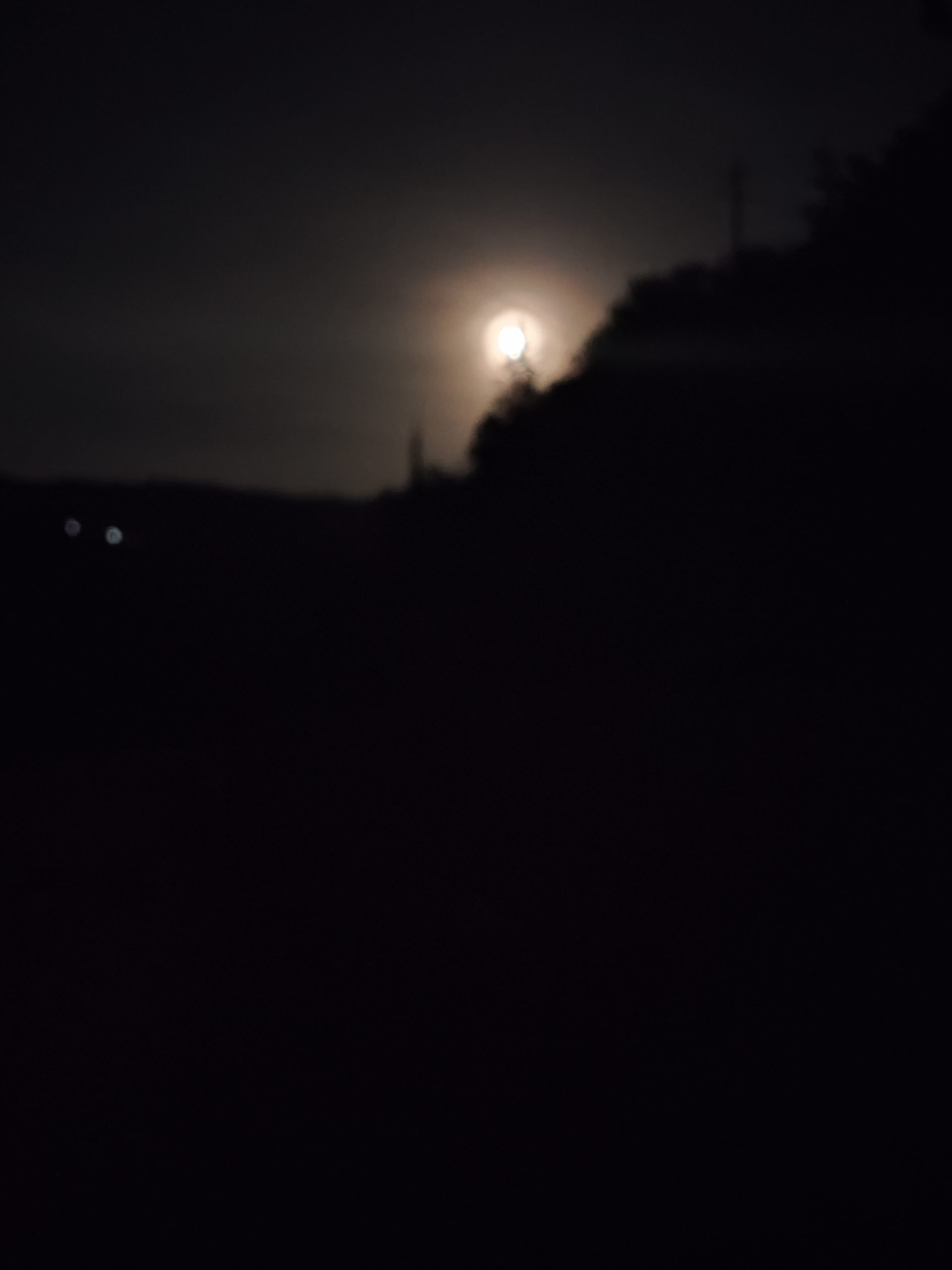 UFOs and Aliens Among Us