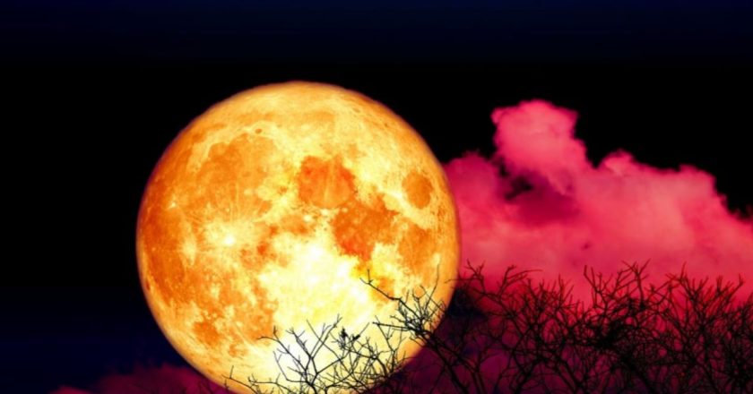 15 nëntori mbërriti! Hëna e Re në shenjën e Akrepit do të ndikojë tek këto shenja të zodiakut