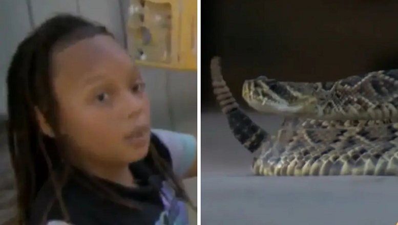 Video/ 9-vjeçari ngatërron gjarprin me zile me ‘kafshë lodër’ në kopshtin e gjyshes në Florida (fotot)