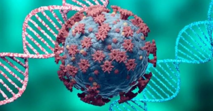 Shkencëtarët: Zbuluam se raca njerëzore varet nga një virus i lashtë që infektoi ADN-në tonë