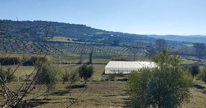 I dha fund jetës duke pirë fotoksinë, detaje nga vdekja e 45-vjeçares në Berat! Nuk e donin fëmijët…