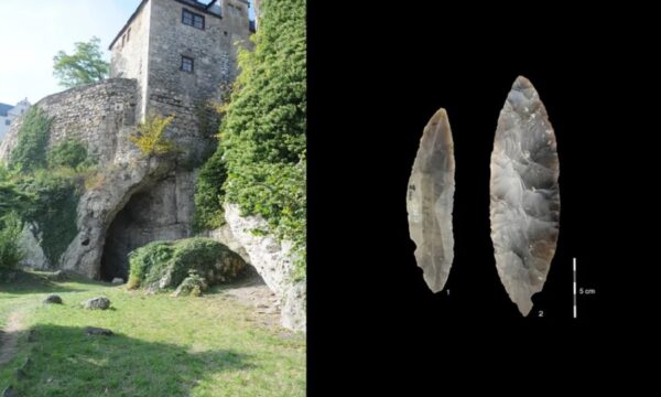 Kockat e gjetura në një shpellë në Gjermani mund të ndryshojnë historinë e njerëzimit në Evropë – Çkemi News