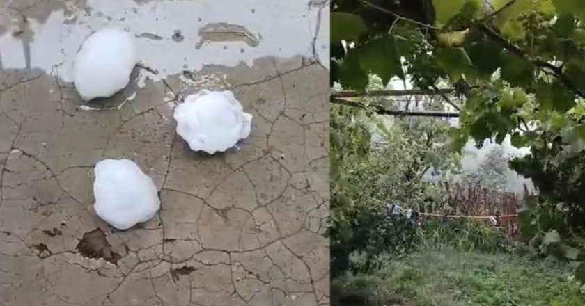 Stuhi e fortë në Elbasan/ Breshëri sa një top bejsbolli, shkatërrohen të mbjellat dhe pemtaria-Çkemi News