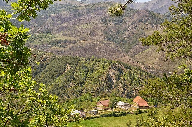 U gjet i vrarë me plumb në dhomën e gjumit, zbulohet konflikti i disa viteve më parë i viktimës në Mirditë! Shkonte çdo verë në fshat për të mbrojtur…-Çkemi News