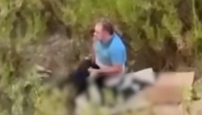 U filmua duke abuzuar me një qen, policia procedon në gjendje të lirë 62-vjeçarin-Çkemi News