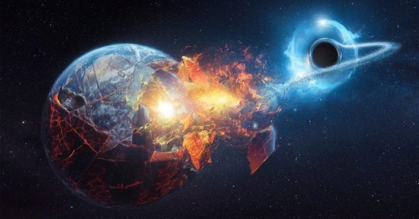 Të dhënat – Shkencëtarët zbulojnë se cila krijesë do të sundojë Tokën nëse njerëzimi shuhet-Çkemi News