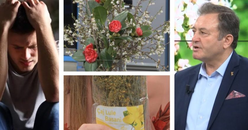 ‘Ilaçin’ e stresit dhe ankthit e gjeni këtu! Ylli Merja prezanton bimët magjike-Çkemi News