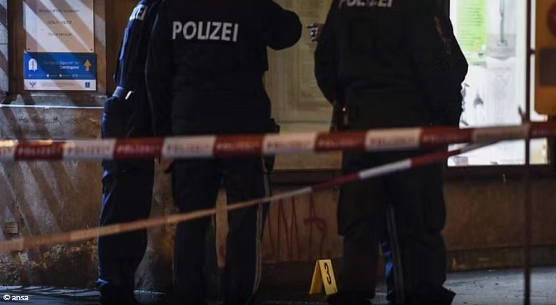 Tronditet Austria! Një person vret me thikë një 14-vjeçar dhe plagos katër të rinj në rrugë! Dëshmitari përplas me makinë autorin-Çkemi News