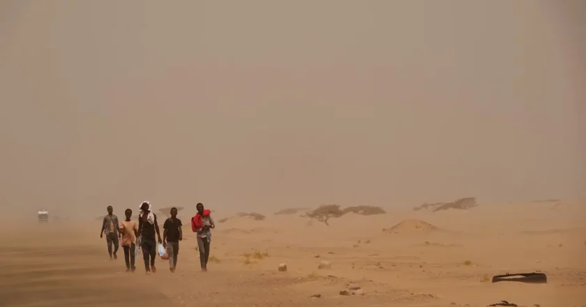 Përdhunime dhe trupa të ngrënë nga kafshët, emigrantët akuzojnë Arabinë Saudite për vrasje makabër: Nuk ndalonin së qëlluari-Çkemi News