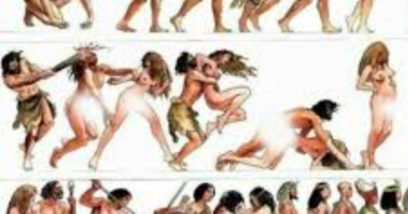 Historia e Njerëzimit: Nga Zanafilla Tek E Ardhmja-Çkemi News