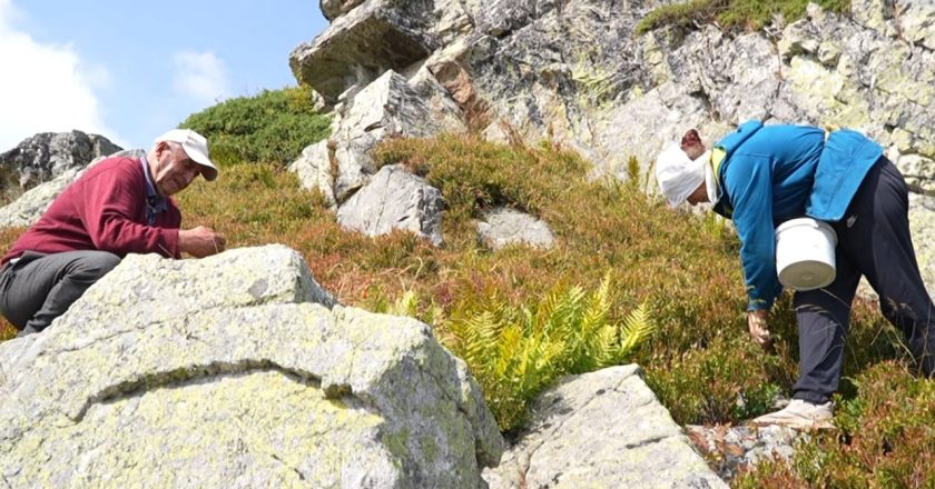 Pagat largojnë të rinjtë nga fshati! Ekspertët thirrje bizneseve: Rrisni rrogat, ose mbeteni pa punëtorë-Çkemi News