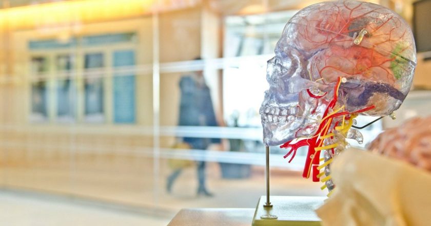 Zbulohet një zonë e trurit që rregullon perceptimin e vetëdijshëm-Çkemi News