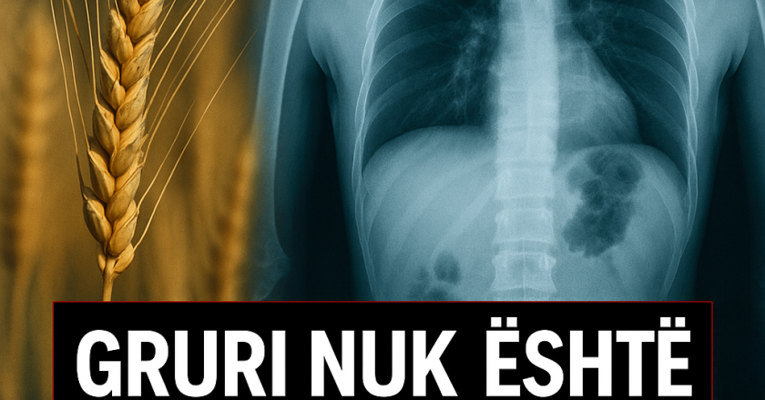  E vërteta e fshehur e grurit – Ushqimi “i shenjtë” që po helmon trupin e njeriut-Çkemi News