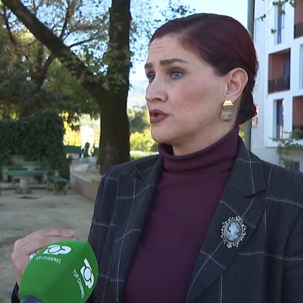 Shoqëria shqiptare nën presion/ Tre vrasje në një ditë, ekspertët: Nevojë urgjente për kujdes të shtuar të shëndetit mendor