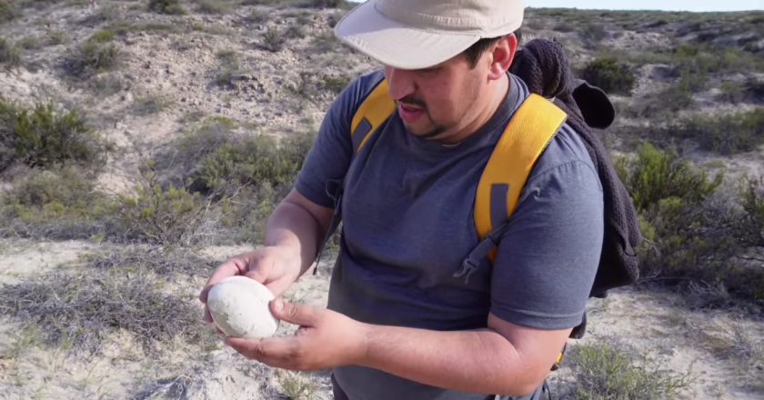 Shokuese & E PABESUESHME! Zbulohet vezë dinosaur 70 MILIONË vjeçare – askush nuk e beson gjendjen e saj!-Çkemi News