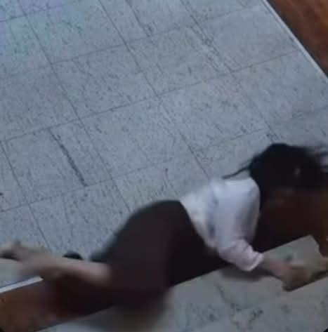 VIDEO/ Kaos në Kuvend, punonjësja rrëzohet teksa vrapon pas Agron Shehajt