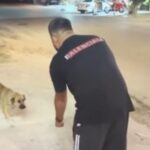 VIDEO që trondit rrjetin/ I riu me bluzë Balenciaga qëllon me armë drejt një qeni, pamjet shkaktojnë zemërim të madh